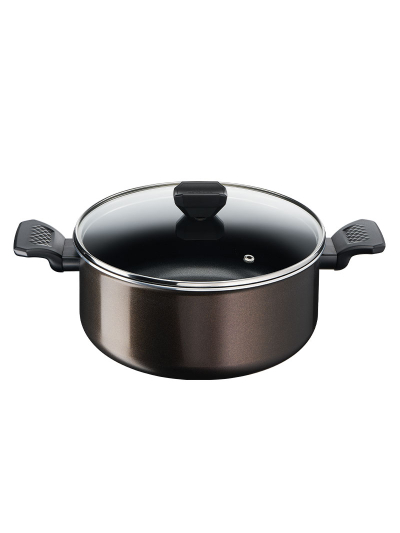 Tefal Easy Cook Stewpot 24 CM Titanium Non Stock Cooking Pot 4.7 L with Lid Suitable for All Heat Sources Except Induction B5544602
