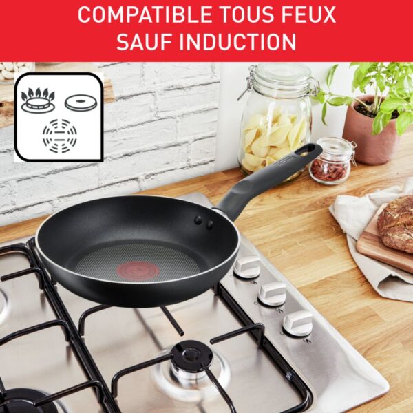 Tefal Dark Stone Cookware Set 11PCS Non Stick Thermo Signal 100% Safe Stewpots 22/24 CM + Lids Saucepan 18 CM Frypan 28 CM Wokpan 28 CM Spoon Ladle B491SB85 - Image 4