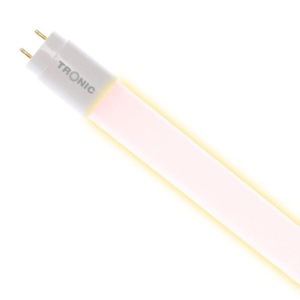 Tronic 4ft Glass LED Tube - Image 2