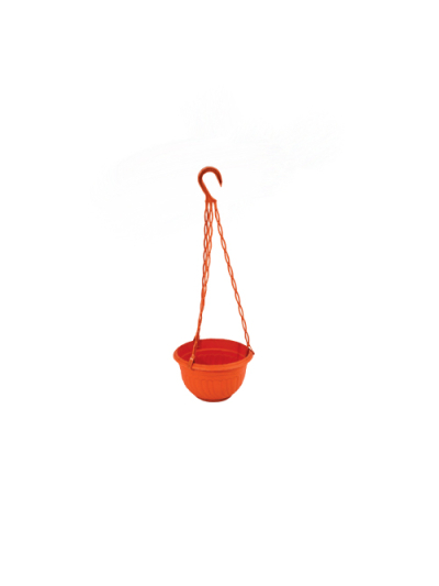 Cello Hanging Planter Small Multi-Color 170 x 480mm (Pack of 6)