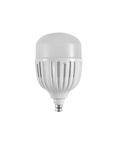 Tronic 100 Watts LED B22 (Pin) Bulb