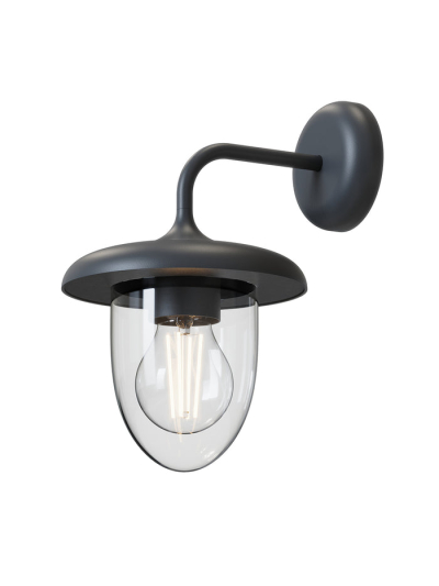 Tronic Oval Shaped Clear Aluminium Wall Light