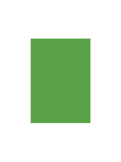 Special Colour Manilla Sheet A4 160gsm 100 Sheets Green P06942