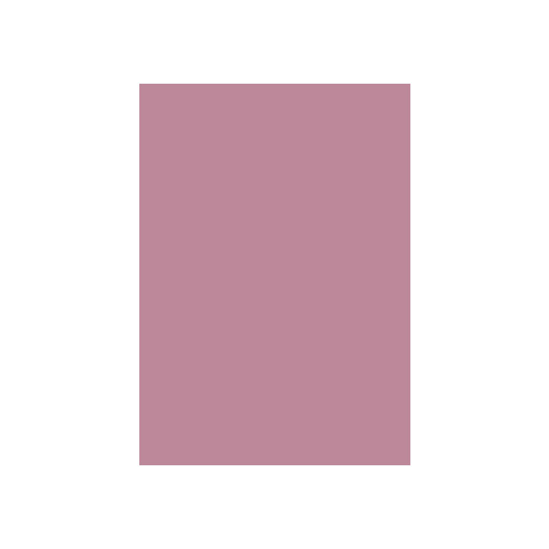 Special Colour Manilla Sheet A4 160gsm 100 Sheets Pink P06944 - Image 2