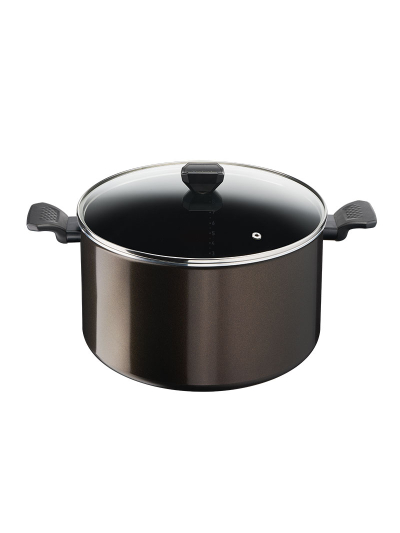 Tefal Easy Cook Stockpot 30 CM Titanium Non Stock Cooking Pot 4.7 L with Lid Suitable for All Heat Sources Except Induction B5546902
