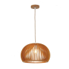 Tronic Pendant Lamp PL WD25-01